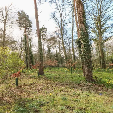 Durham Holiday home Bolton-on-Swale